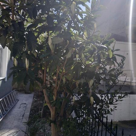 Agelikis' Apartments Nea Kallikrateia 외부 사진